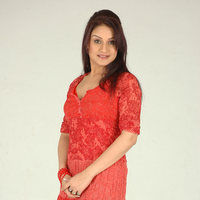 Sonia Agarwal New Pictures | Picture 47007